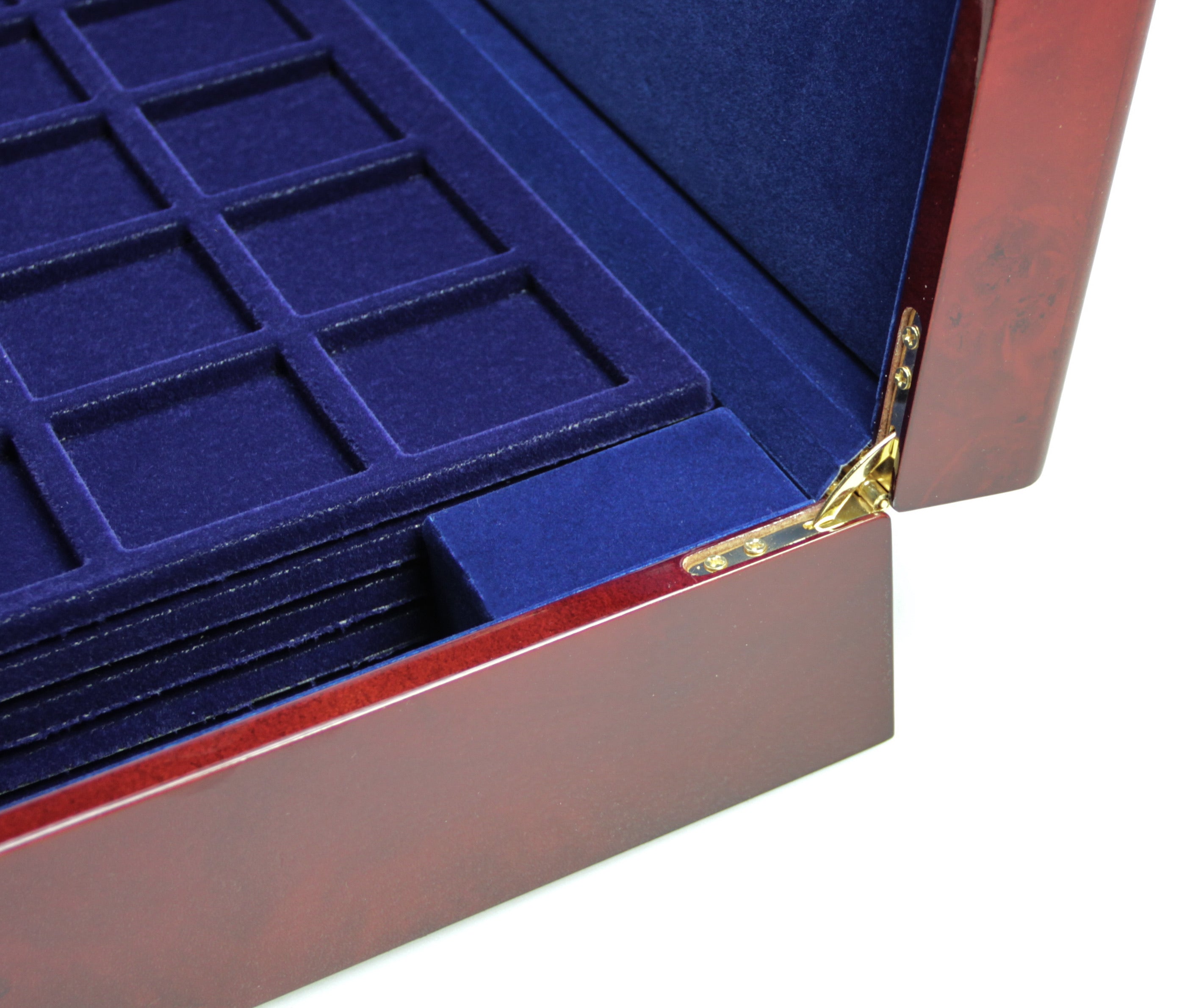 Detail image of the gold hinges and blue velvet interior the burlwood coin case on a white background