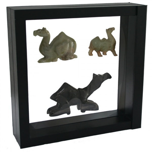 Black square frame/shadowbox with transparent window made of film that is molded to 3 collectible camel sculptures on a white background