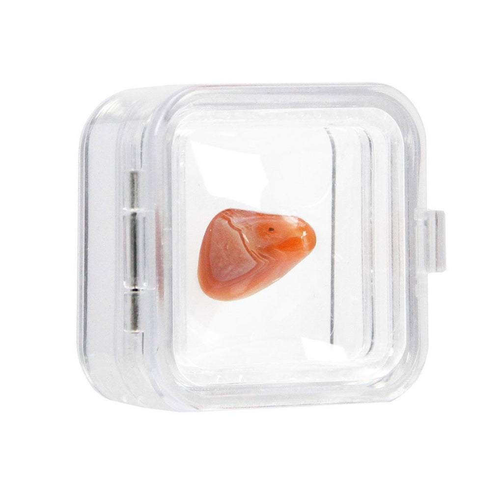 Clear container with an internal flexible film that is molded to a stone on a white background