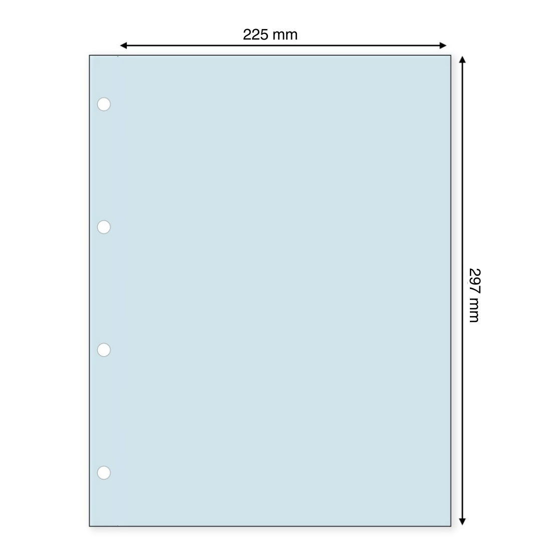 Light blue illustration representing the transparent exhibit page sleeve with the dimensions on a white background