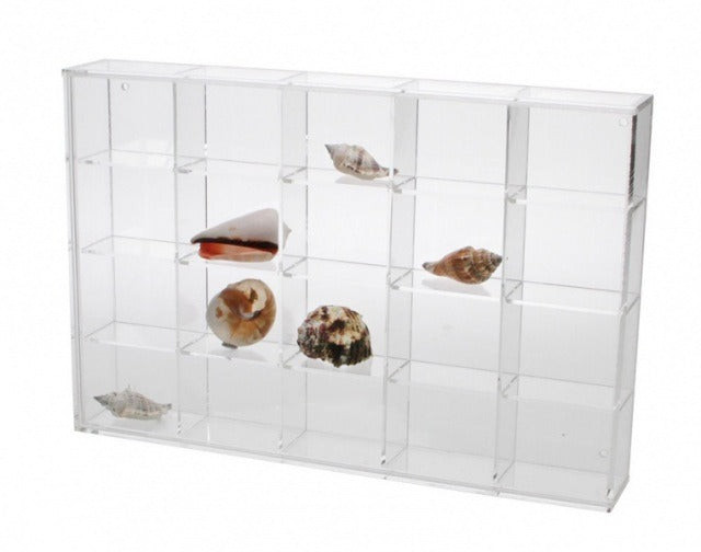 Clear acrylic display case with 20 compartments filled with various collectible seashells on a white background