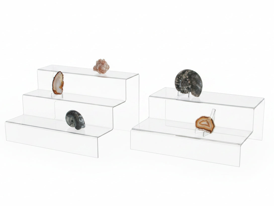 A set of clear acrylic display steps with various seashells and fossils on a white background