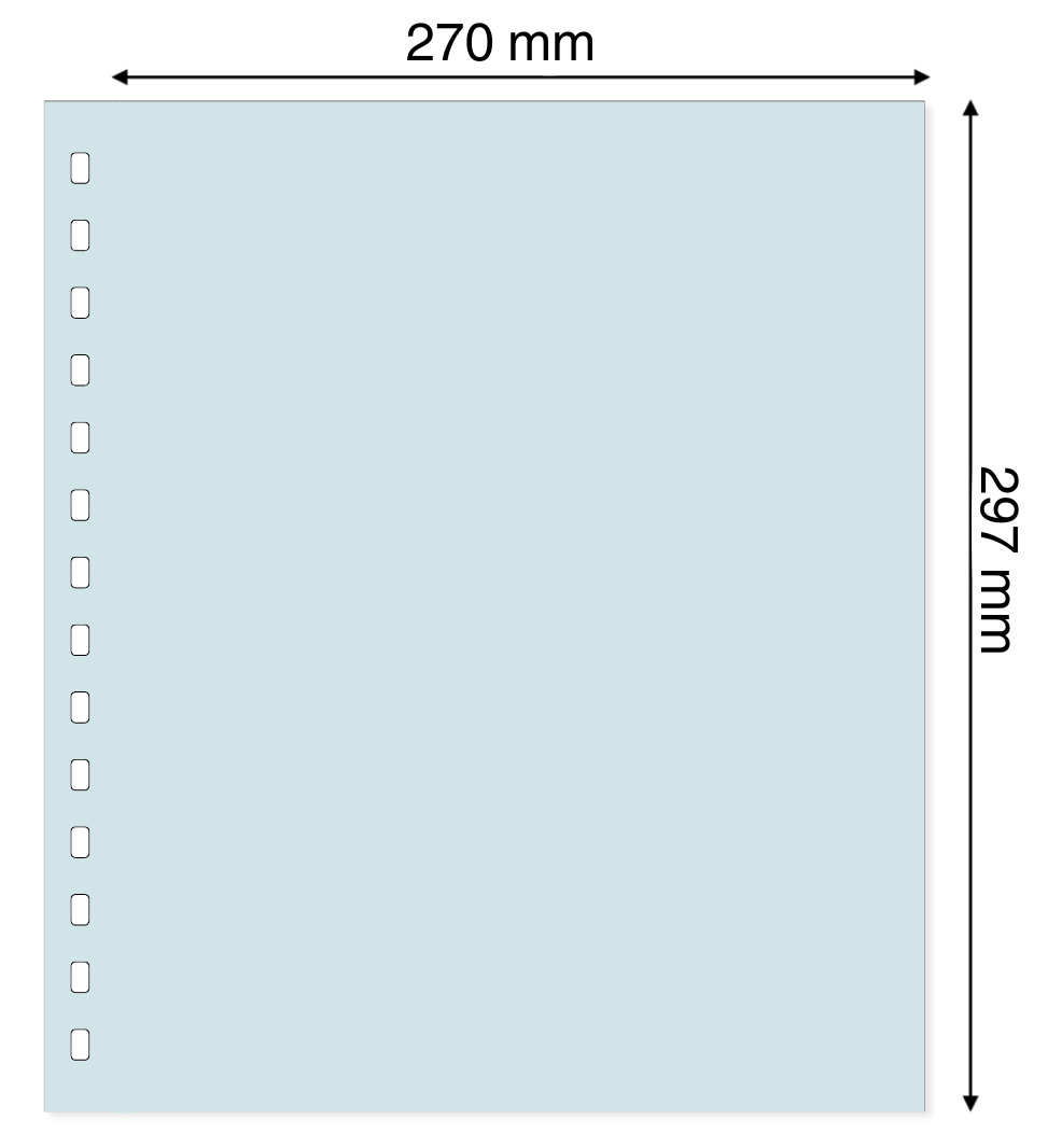 Light blue illustration representing a transparent album page with dimensions on a white background