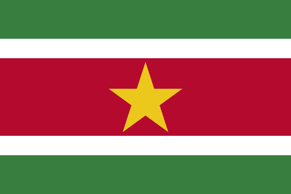Flag of Suriname with green, white, red horizontal stripes and a yellow star in the center