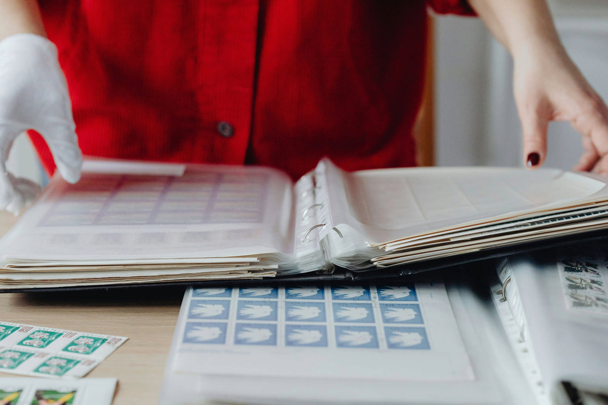 Best Stamp Albums for Organizing a Collection: 2026 Buying Guide