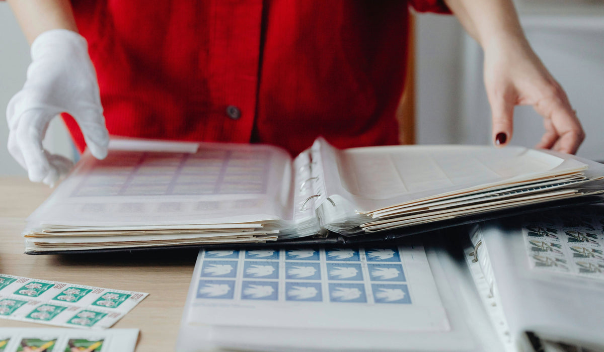Best Stamp Albums for Organizing a Collection: 2026 Buying Guide