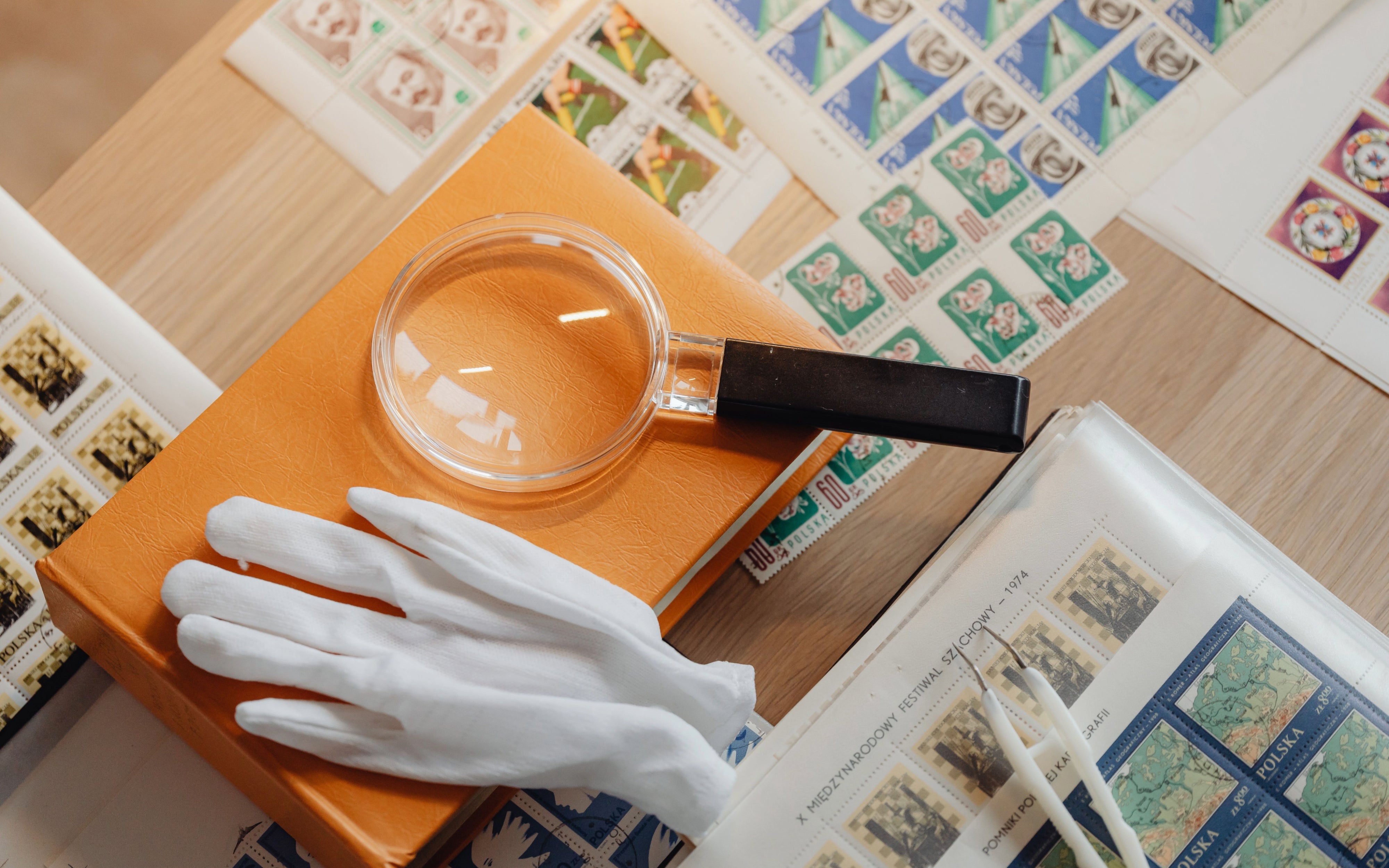 The Complete Guide to Archival Storage Materials for Collectors