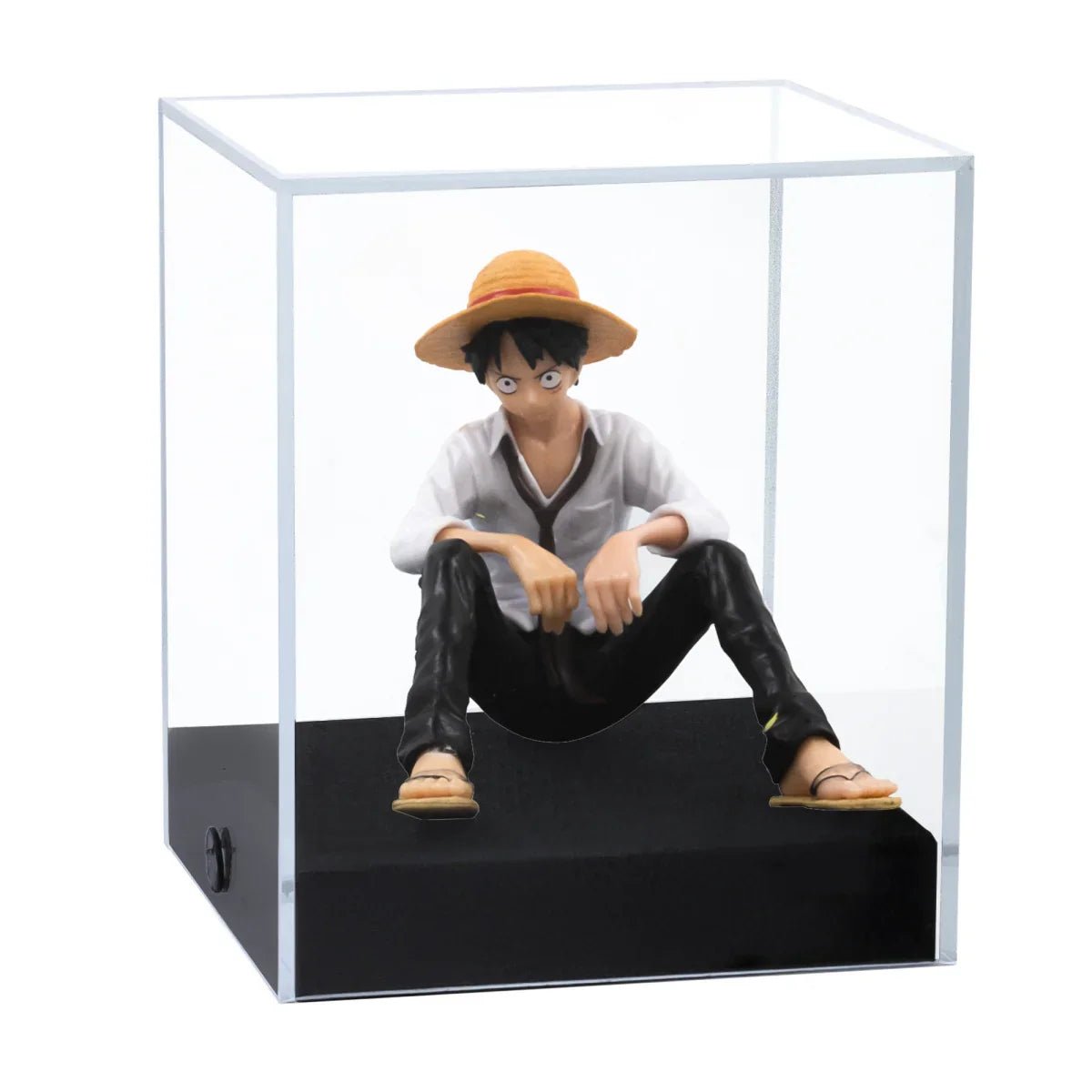 Pop Culture Collectible Storage & Display