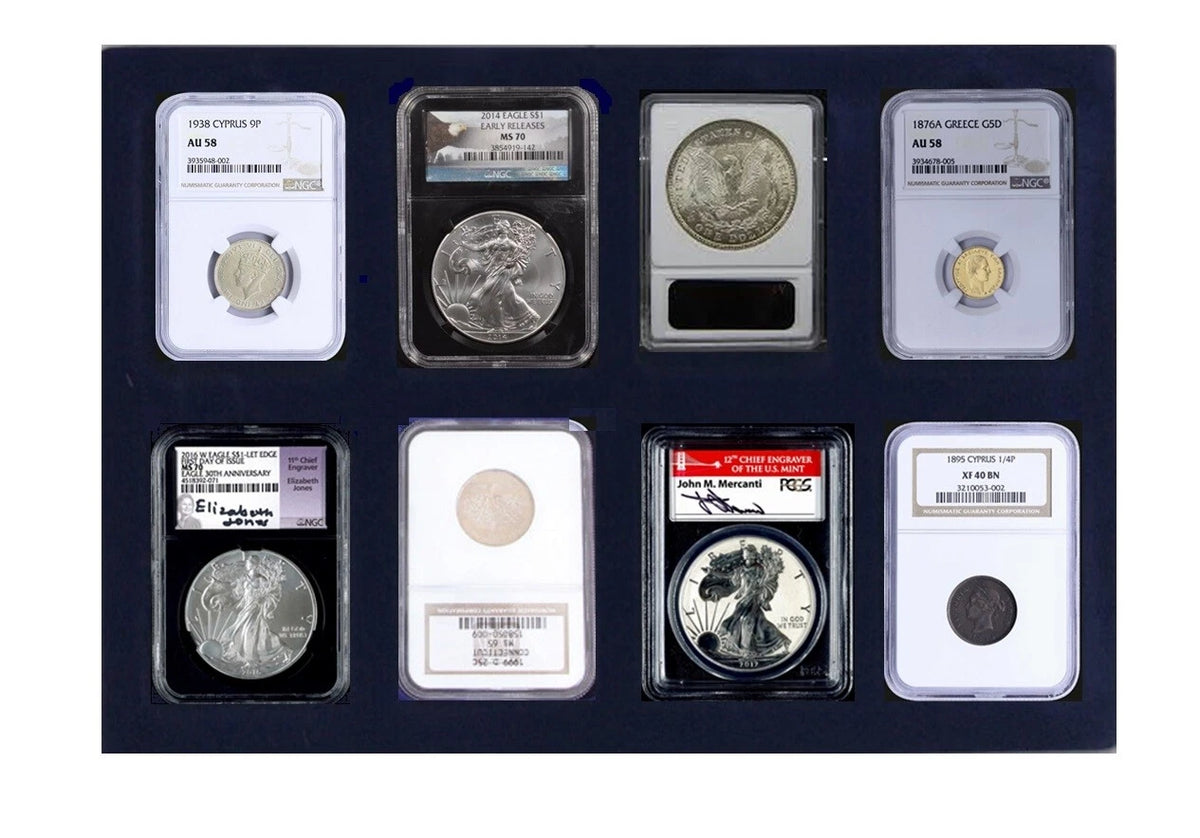 A 8-piece graded coin collection in a blue velvet coin tray, featuring various coins in clear plastic grading holders with labels.