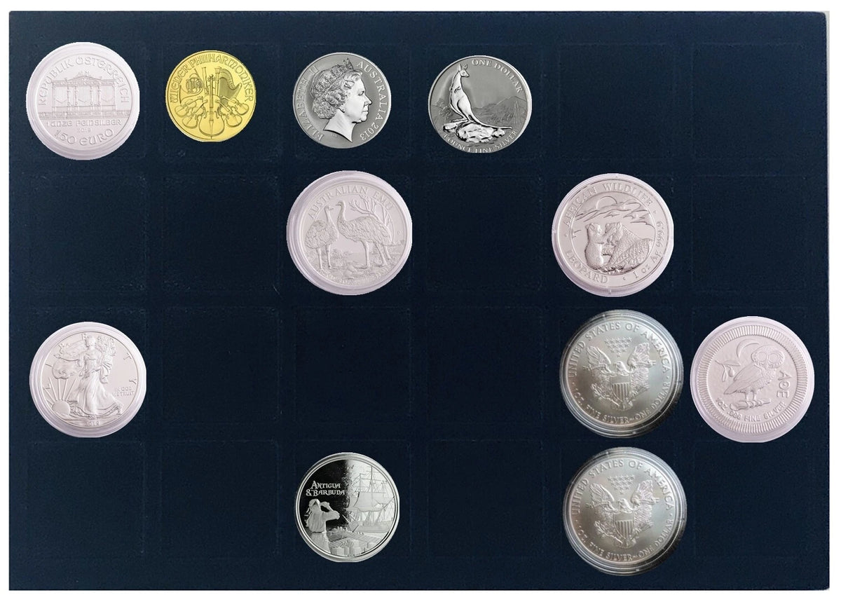A collection of coins displayed in a blue velvet coin tray featuring various metallic silver and gold coins.