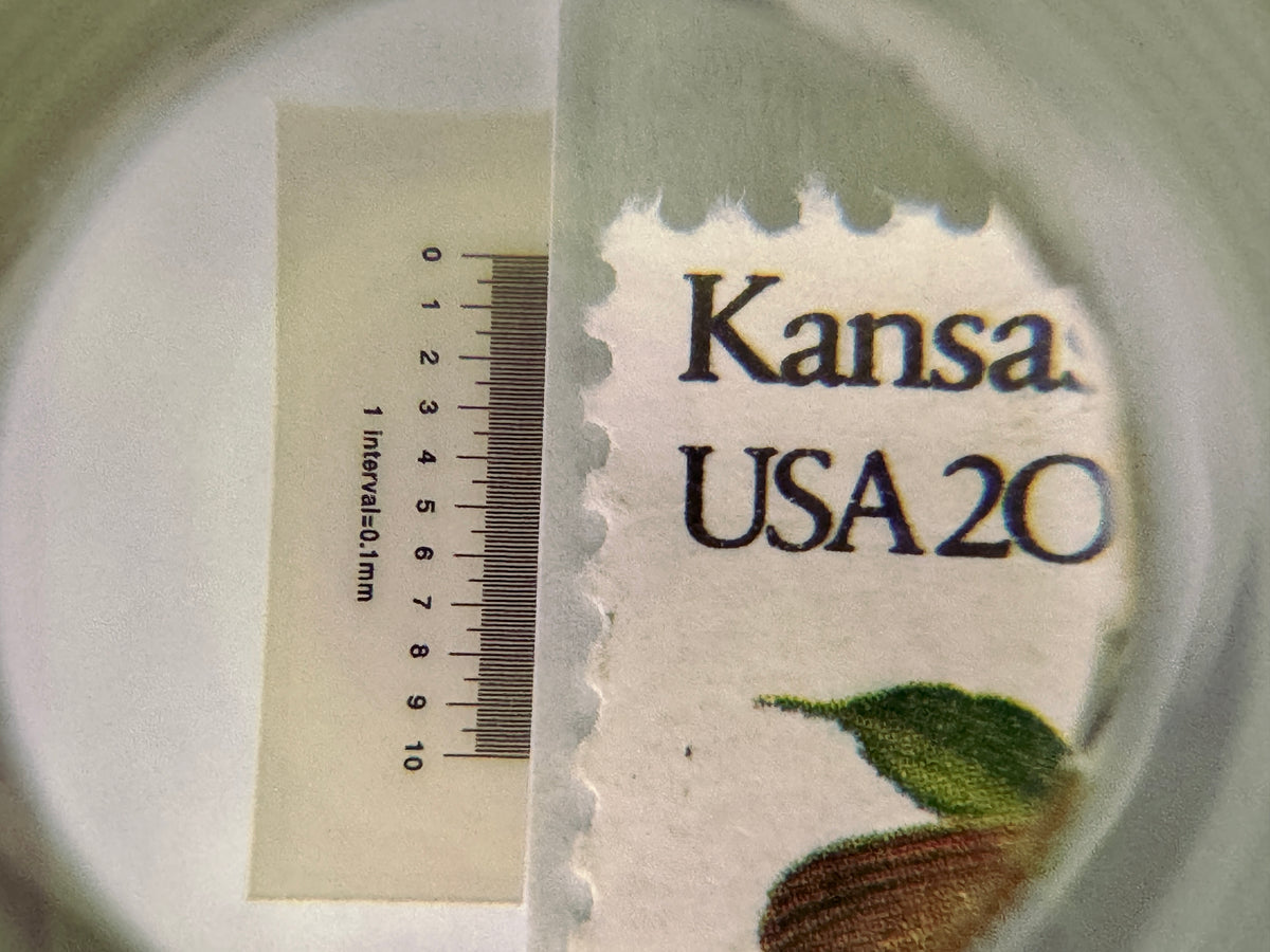 Close-up of a vintage Kansas USA 20 cents postage stamp next to a 10mm measurement scale, showing the paper texture and printed details.