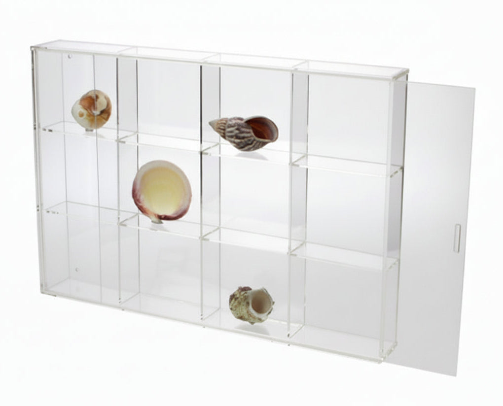 Clear acrylic display case with 12 compartments filled with various seashells on a white background