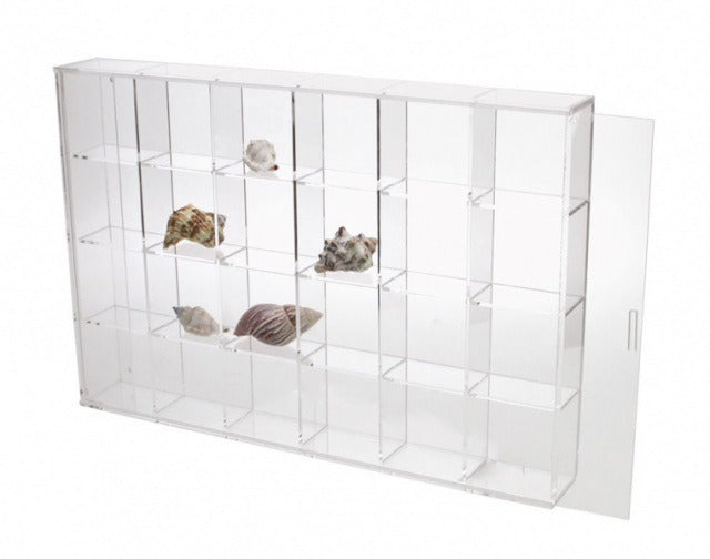 Clear acrylic display case with 24 compartments filled with various collectible shells on a white background