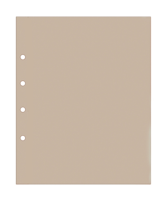 Illustration representing a tan album endpaper on a white background
