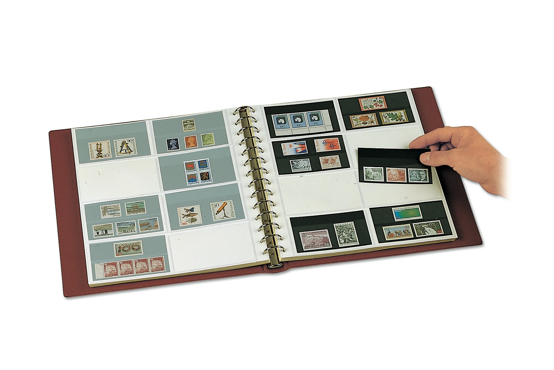 Collection of stamps in approval cards inside an open stamp album with a hand holding an approval card on a white background.
