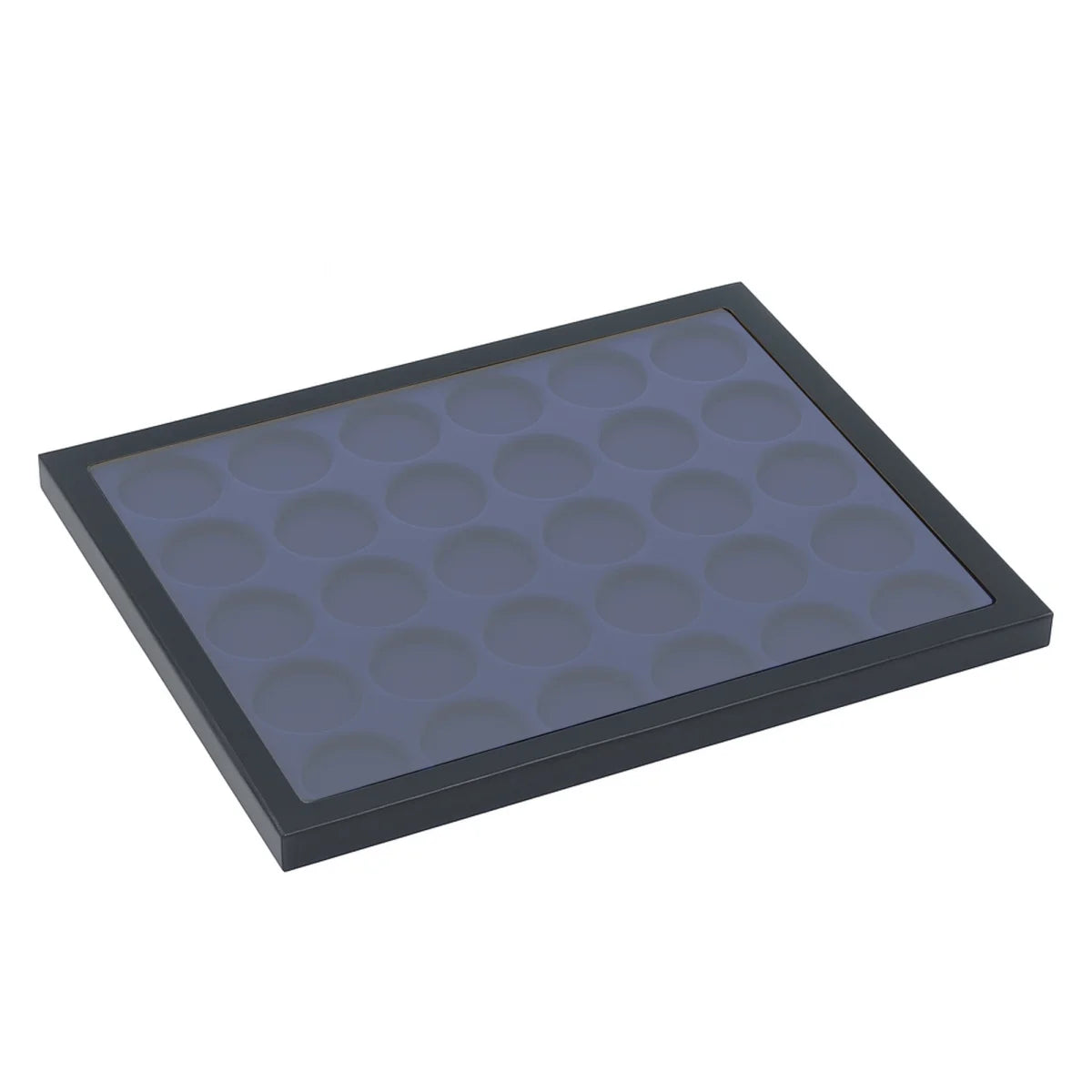 Nova Riker Display Case for 30 Coins up to 32mm (U.S. Half Dollars)