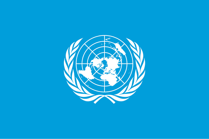 UN logo on a blue background