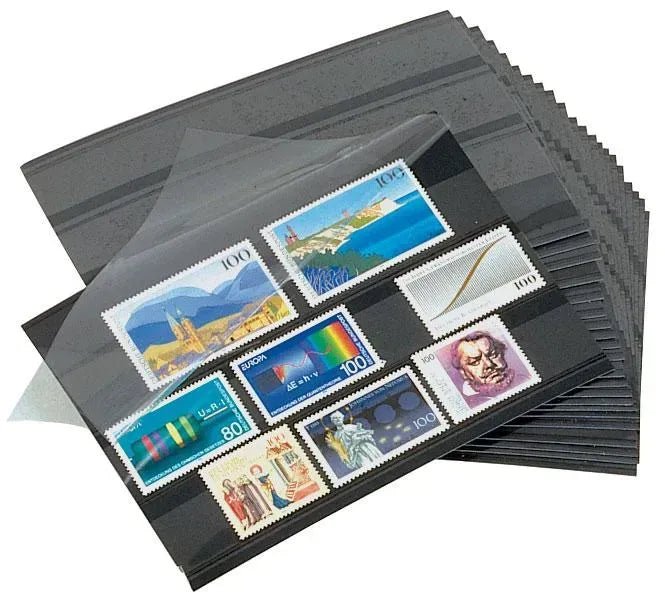 Large Philatelic Auction Approval Cards - Pack of 10