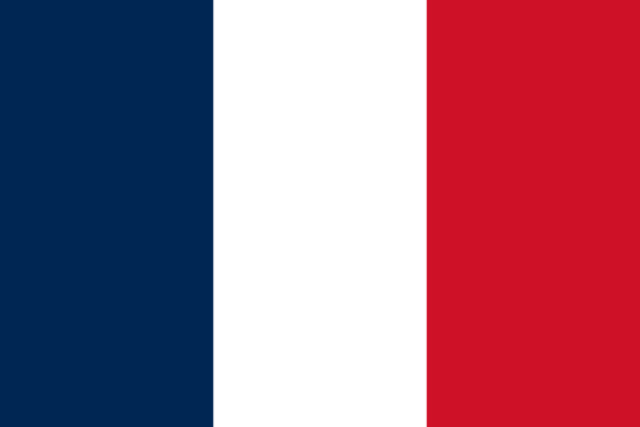French Flag with blue, white, and red vertical stripes