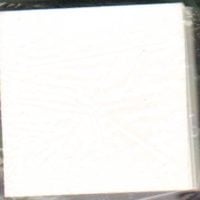 2 x 2 Archival Paper Inserts for 2x2 Coin Flips - Pack of 100