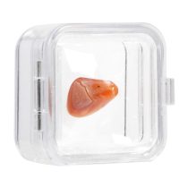 4531 Mineral Display Case