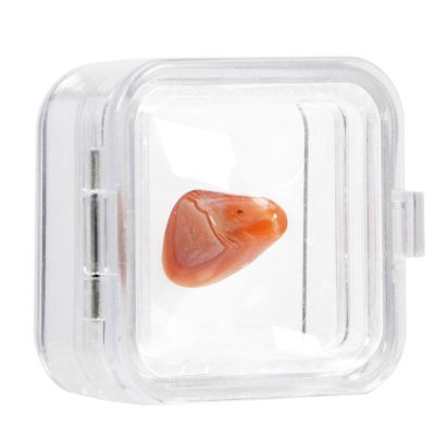 Mineral Display Case-3D Floating Capsule Large -Pack of 3