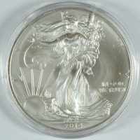 Storage Options for Silver Eagles in Capsules
