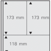 Dual Blank Page 3 Pocket Vertical Combination Per 5
