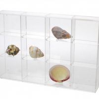 Seashell Display Case - Medium 12 Compartments