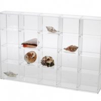 Seashell Display Case - Medium 20 Compartments