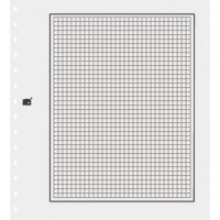 White Blank Page With Quadrille Graphing Per 10