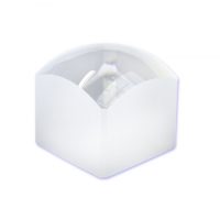 Surface Cube Magnifier 1-3/4" - 2.5x