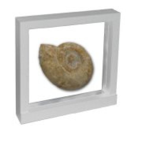 Floating Flexi Frame - 7" x 7" - White Floating Flexi Frame - 7" x 7" - White