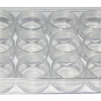 Mini Mineral Display Case with 12 Round Vials