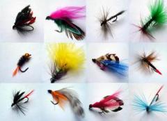 Fly Fishing Lures